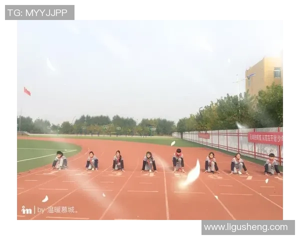 北京排球队状态分析与表现评估：数据透视与未来展望