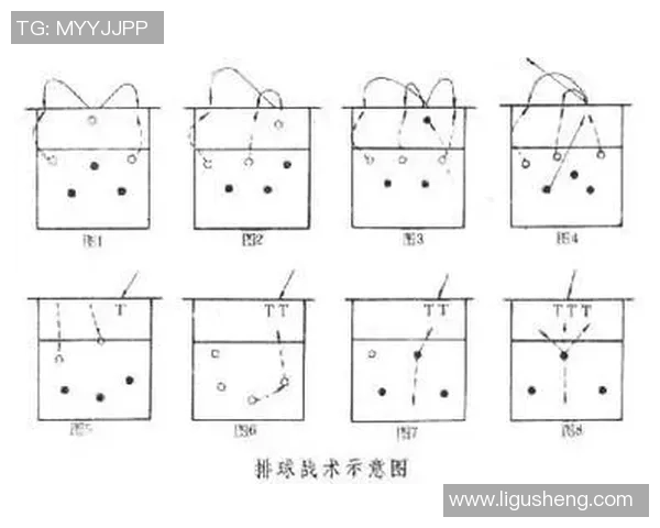 北京排球队的战术解析与控制体系探讨