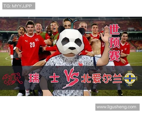 北爱尔兰与瑞士足球对决分析及足彩投注建议详解